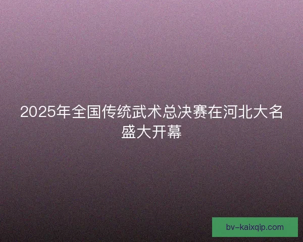 2025年全国传统武术总决赛在河北大名盛大开幕